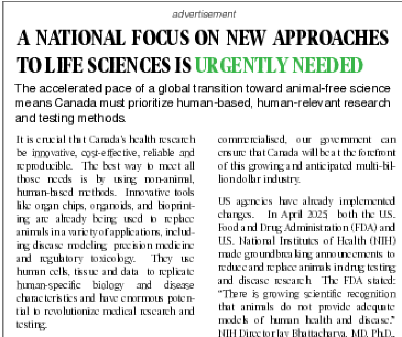 National focus ad