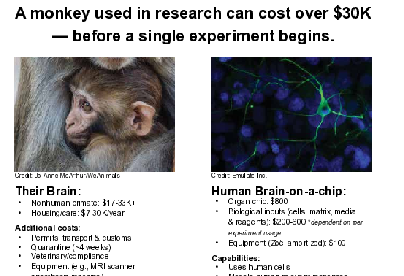 Monkey in research costs