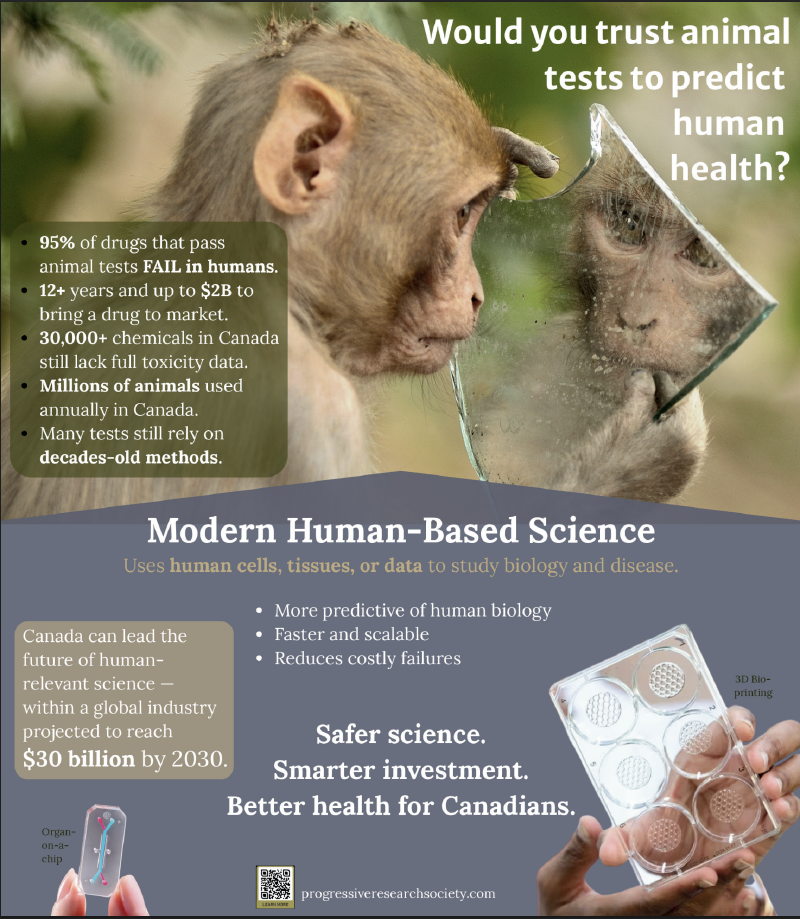 primate ad